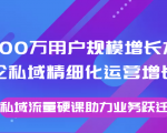 8000万用户规模增长方法论私域精细化运营增长，私域流量硬课助力业务跃迁-副业资源站
