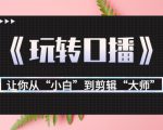 月营业额700万+大佬教您《玩转口播》让你从“小白”到剪辑“大师”-副业资源站