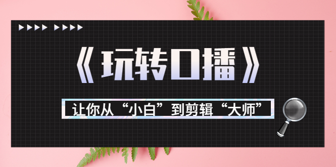 月营业额700万+大佬教您《玩转口播》让你从“小白”到剪辑“大师”-副业资源站