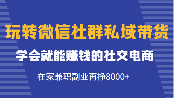 玩转微信社群私域带货，学会就能赚钱的社交电商，在家兼职副业再挣8000+-副业资源站