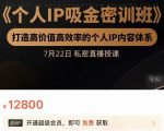 个人IP吸金密训班，打造高价值高效率的个人IP内容体系（价值12800元）-副业资源站