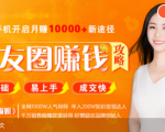 全网千万人气导师亲授：零基础/易上手的朋友圈赚钱攻略，让你轻松月入过万-副业资源站