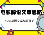 电影解说文案思路课，让你快速掌握文案编写的技巧（3节视频课程）-副业资源站