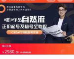 0粉0作品自然流正价起号及稳号全教程，专业自然流起号机构流程化教学（价值2980元）-副业资源站