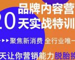 《内容营销实操特训营》20天让你营销能力脱胎换骨（价值3999）-副业资源站