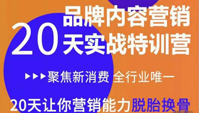 《内容营销实操特训营》20天让你营销能力脱胎换骨（价值3999）-副业资源站