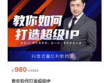 教你如何打造超级IP，抖音流量红利新机遇（价值980元）-副业资源站