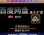 百度网盘无限扩容技术，外面卖399的，无论自己用还是用做引流都可以-副业资源站