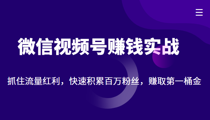 微信视频号赚钱实战:抓住流量红利,快速积累百万粉丝,赚取你的第一桶金-副业资源站