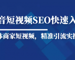抖音短视频Seo搜索排名优化新手快速入门教程，实体商家短视频，精准引流实操课-副业资源站