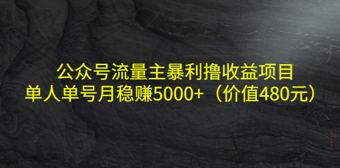 公众号流量主暴利撸收益项目，单人单号月稳赚5000+（价值480元）-副业资源站