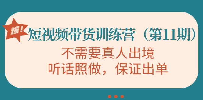 视频带货训练营，不需要真人出境，听话照做，保证出单（第11期）-副业资源站