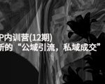 新媒体IP内训营(12期)，一套全新的“公域引流，私域成交”IP打法，直接带走-副业资源站