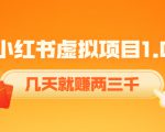 《小红书虚拟项目1.0》账号注册+养号+视频制作+引流+变现，几天就赚两三千-副业资源站
