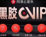 网易云音乐撸黑胶年卡及变现方法，收益可无限放大-副业资源站