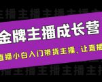 金牌主播成长营，一周从直播小白入门带货主播，让直播更简单-副业资源站