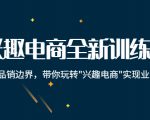 兴趣电商全新训练营：打破品销边界，带你玩转“兴趣电商“实现业务增长-副业资源站