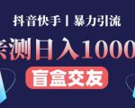 日收益1000+的交友盲盒副业丨有手就行的抖音快手暴力引流-副业资源站