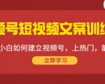 视频号短视频文案训练营：0基础小白如何建立视频号，上热门，能卖货！-副业资源站