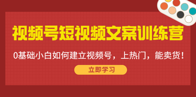 视频号短视频文案训练营：0基础小白如何建立视频号，上热门，能卖货！-副业资源站