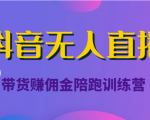 抖音无人直播带货赚佣金陪跑训练营（价值6980元）-副业资源站