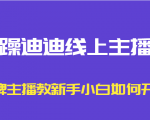 暴躁迪迪线上主播课，金牌主播教新手小白如何开播-副业资源站