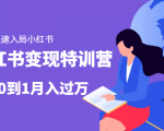 小红书变现特训营：带你快速入局小红书，从0到1月入过万-副业资源站
