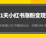 21天小红书涨粉变现营（第4期）：带你掌握小红书爆款玩法，月赚10W+秘密-副业资源站