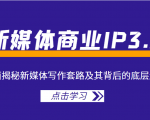 新媒体商业IP3.0，全面揭秘新媒体写作套路及其背后的底层逻辑（价值1299元）-副业资源站