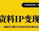 资料IP变现，能稳定日赚3000起的持续性盈利玩法-副业资源站
