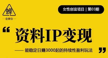 资料IP变现，能稳定日赚3000起的持续性盈利玩法-副业资源站