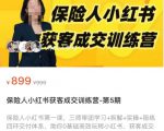 保险人小红书获客成交训练营，0基础高效玩转小红书，可复制的获客成交之路-副业资源站