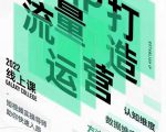大蓝流量运营&个人ip打造课，短视频带货/爆款文案/流量运营/直播入门/镜头变现/流量商业-副业资源站