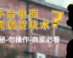 外面收费2980的全平台电商白嫖撸货技术（仅揭秘勿操作-商家防范必看）-副业资源站