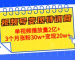 21天视频号变现特训营：单视频播放量2亿+3个月涨粉30w+变现20w+（第14期）-副业资源站