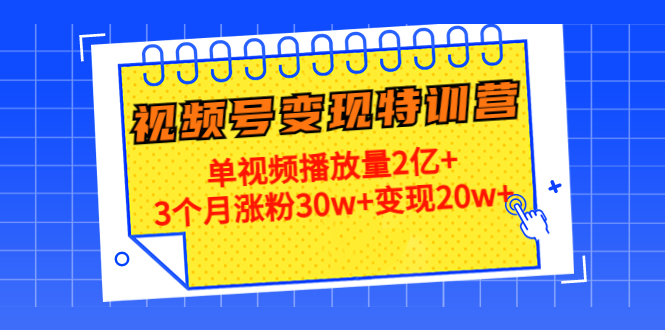 21天视频号变现特训营：单视频播放量2亿+3个月涨粉30w+变现20w+（第14期）-副业资源站