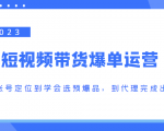 2023短视频带货爆单运营，从账号定位到学会选预爆品，到代理完成出单（价值1250元）-副业资源站