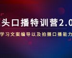 镜头口播特训营2.0版，学习文案编导以及拍摄口播能力（50节课时）-副业资源站