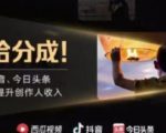 2022年最新中视频变现最稳最长期的项目，一个账号月入几万很简单-副业资源站