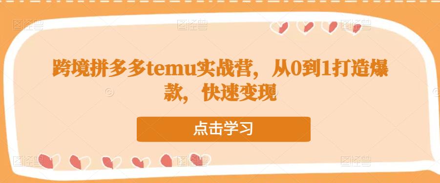 跨境拼多多temu实战营，从0到1打造爆款，快速变现-副业资源站