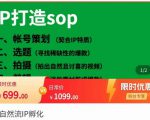 瑶瑶·自然流IP孵化，系统掌握IP孵化全流程，也能学到选题，剪辑，账号运营经验-副业资源站