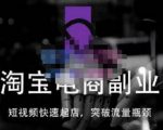 蓝Sir派·淘宝短视频快速起店，替代传统搜索方式，学会做一个不一样的淘宝店-副业资源站