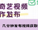 爱奇艺号视频发布，每天只需花几分钟即可发布视频，简单操作收入过万【教程+涨粉攻略】-副业资源站