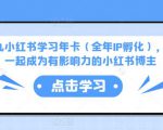 厦九九小红书学习年卡（全年IP孵化），沉浸式学习，一起成为有影响力的小红书博主-副业资源站