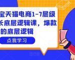 大圣淘宝天猫电商1-7层级盈利增长底层逻辑课，爆款的底层逻辑-副业资源站