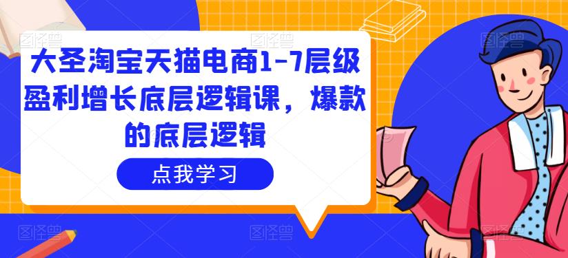 大圣淘宝天猫电商1-7层级盈利增长底层逻辑课，爆款的底层逻辑-副业资源站