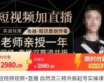 张越·短视频+直播，自然流三频共振起号实操课，​短视频所有流量玩法讲解-副业资源站