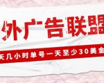 外面收费1980的最新国外LEAD广告联盟搬砖项目，单号一天至少30美金【详细玩法教程】-副业资源站