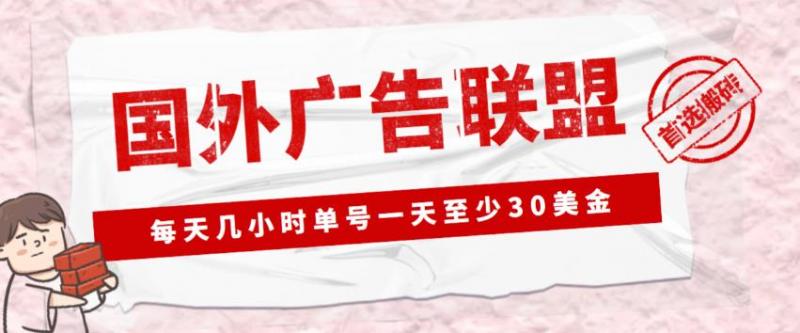 外面收费1980的最新国外LEAD广告联盟搬砖项目，单号一天至少30美金【详细玩法教程】-副业资源站