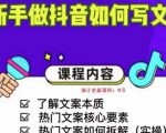 新手做抖音如何写文案，手把手实操如何拆解热门文案-副业资源站